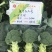 精品西兰花种子耐寒米粒小康千万三号豫艺种业厂家直销