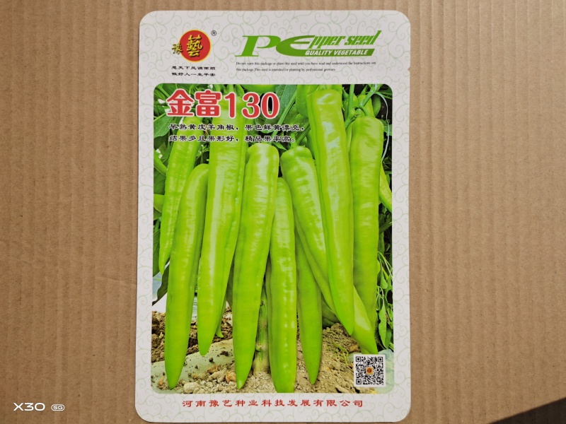 精品黄皮尖椒种子羊角椒早熟高产金富130豫艺种业厂家直销