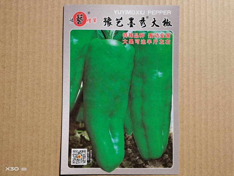 精品牛角泡椒种子大果高产墨秀大椒豫艺种业厂家直销