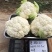 白菜花实花菜种子颜色白早熟耐热珍玉50豫艺种业厂家直销