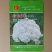 白菜花实花菜种子颜色白早熟耐热珍玉50豫艺种业厂家直销