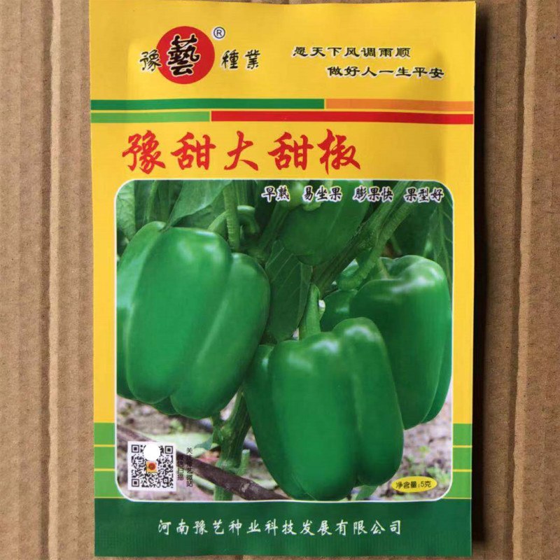甜椒种子方椒薄皮豫甜大甜椒早熟豫艺种业厂家直销