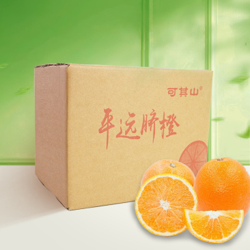 平远脐橙5斤装