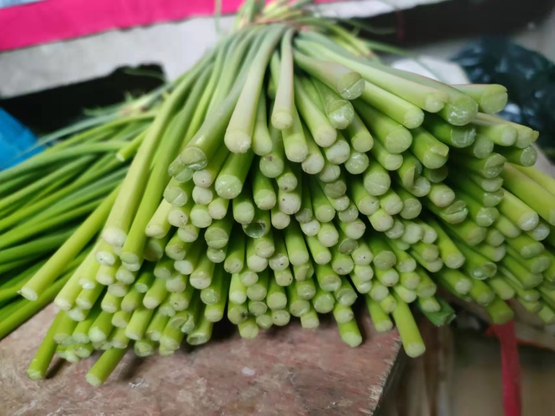蒜苔优质聊城大张苔大量上市产地直销货量充足量大优惠