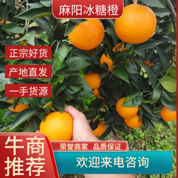 湖南冰糖橙，湖南橙子，口感纯甜，产地直供，量大从优。一件