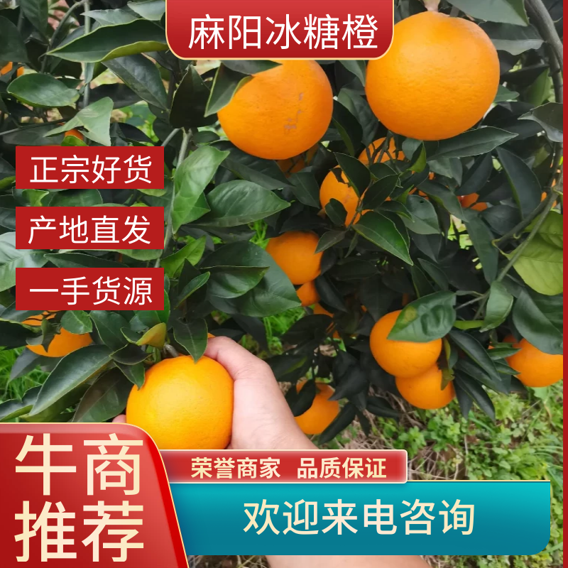 湖南冰糖橙，湖南橙子，口感纯甜，产地直供，量大从优。一件