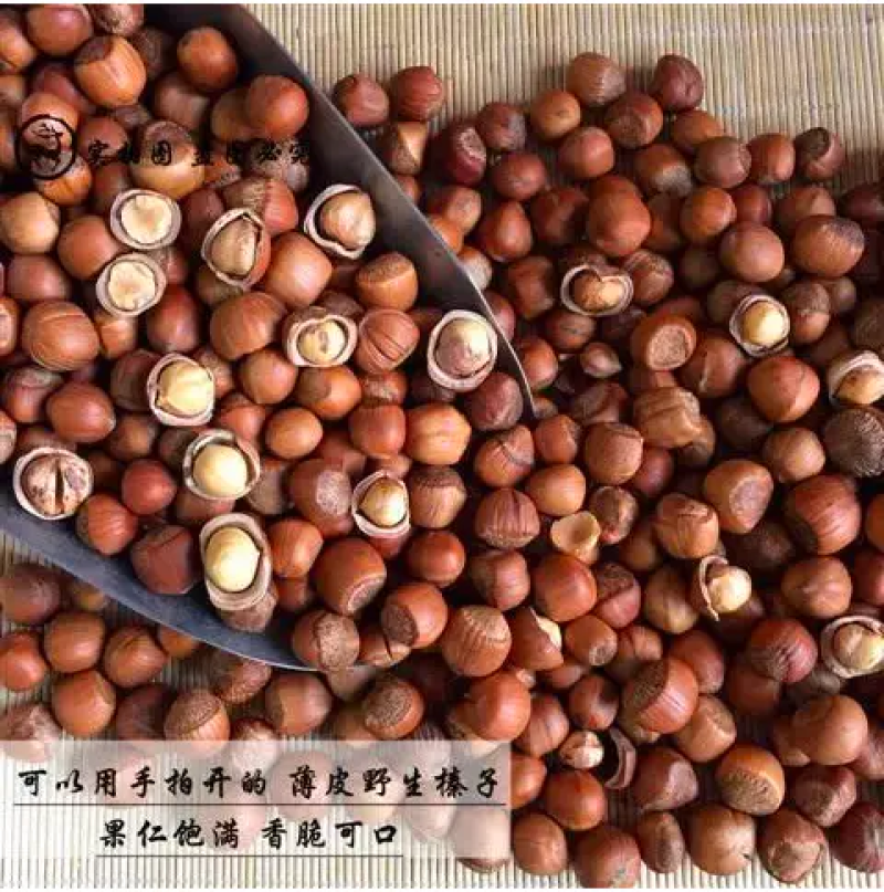 【推荐】精品榛子，产地发货，口感香甜，质量保证，信誉至上