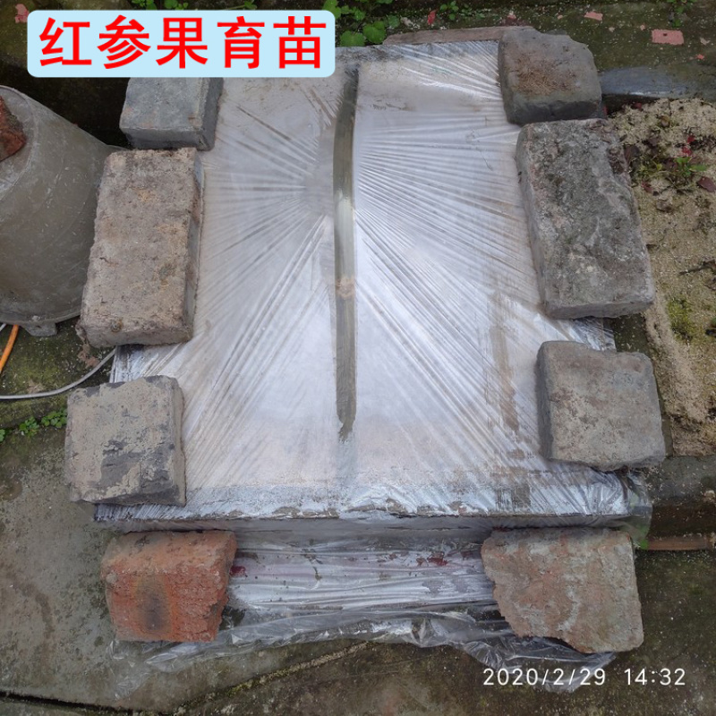 专用补拍链接邮费差价补差价专拍补多少元拍多少件1元