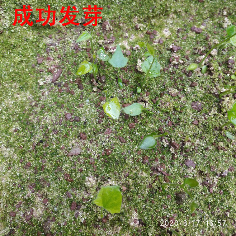 专用补拍链接邮费差价补差价专拍补多少元拍多少件1元
