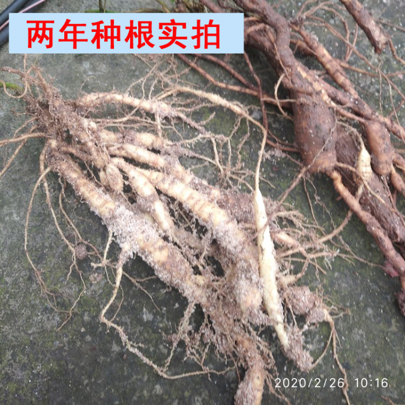 专用补拍链接邮费差价补差价专拍补多少元拍多少件1元