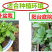 专用补拍链接邮费差价补差价专拍补多少元拍多少件1元