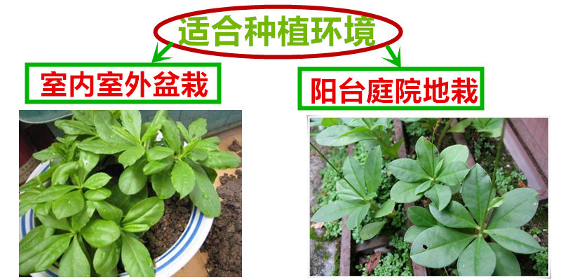 专用补拍链接邮费差价补差价专拍补多少元拍多少件1元