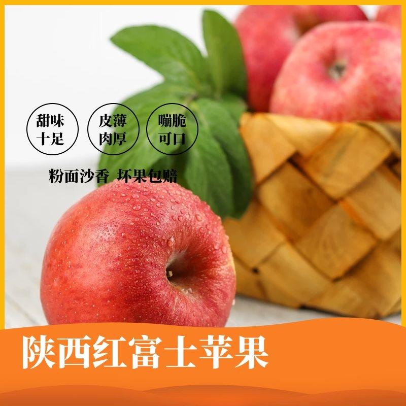 [荐]延安洛川红富士晚熟纸袋苹果，量大质优好吃不贵