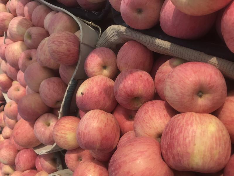 红富士苹果产地直发保质保量全国发货山东烟台