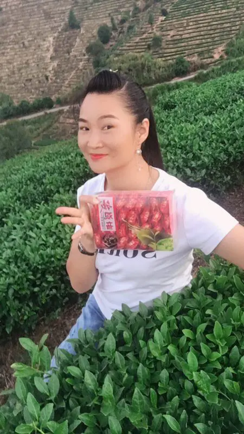 铁观音，安溪铁观音，自家种植自家销售，物美价优，欢迎咨询