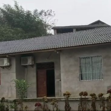 10巴南惠民85㎡农房出租，房子位于水塘旁边