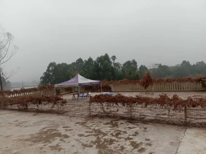长寿大洪湖旁600平农家乐带鱼塘出租，地下1层楼上4层