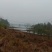 长寿大洪湖旁600平农家乐带鱼塘出租，地下1层楼上4层