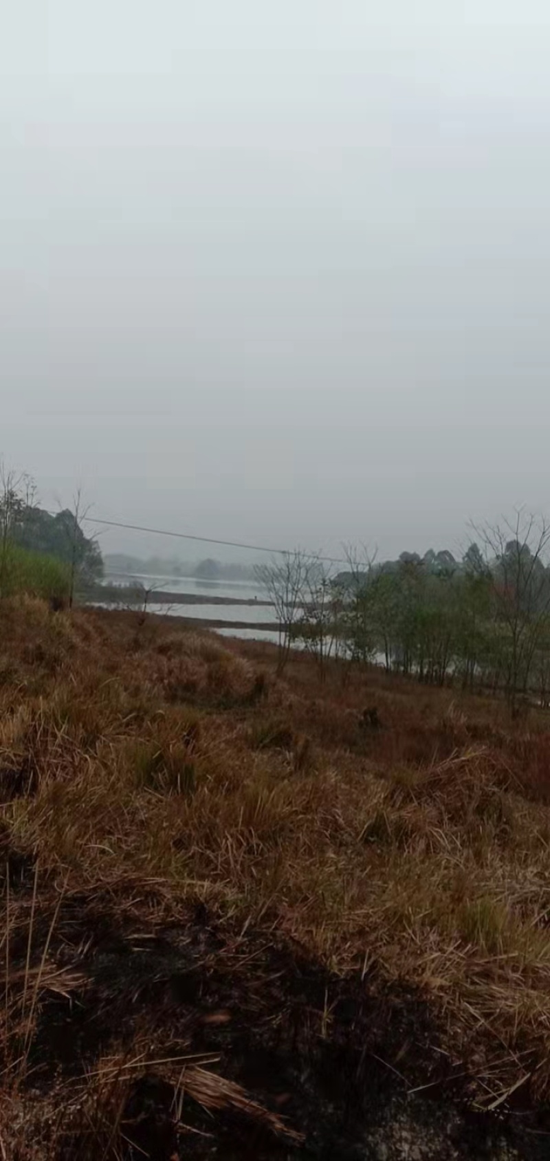 长寿大洪湖旁600平农家乐带鱼塘出租，地下1层楼上4层