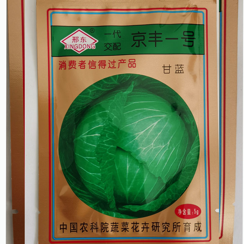 扁包菜甘蓝种子京丰一号包菜莲花白早春种植水果型基地