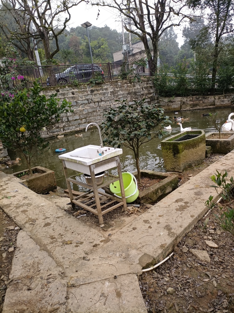 大学城山上300平独栋别墅加3亩土地售，售价266万，