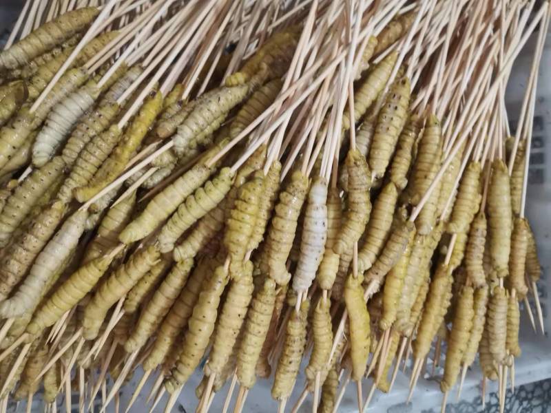 阜阳豆虫批发新鲜烧烤食材油炸食材，高蛋白豆丹