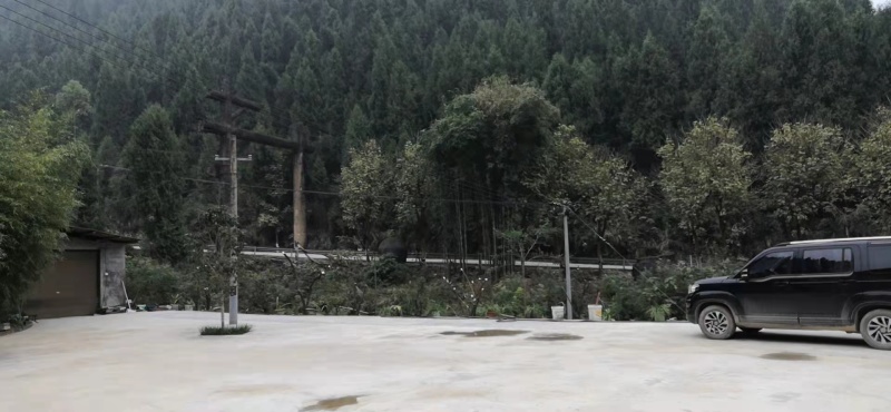 涪陵区天台乡八亩农家乐出租，农家乐建筑面积600平方