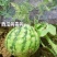 氨基寡糖素链蛋白植物免疫诱抗剂草莓西瓜病毒病杀菌剂