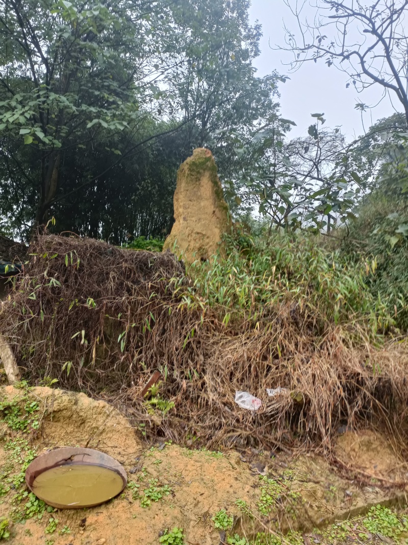 江北五宝，一家6口指标150建筑面积，可以修3层，