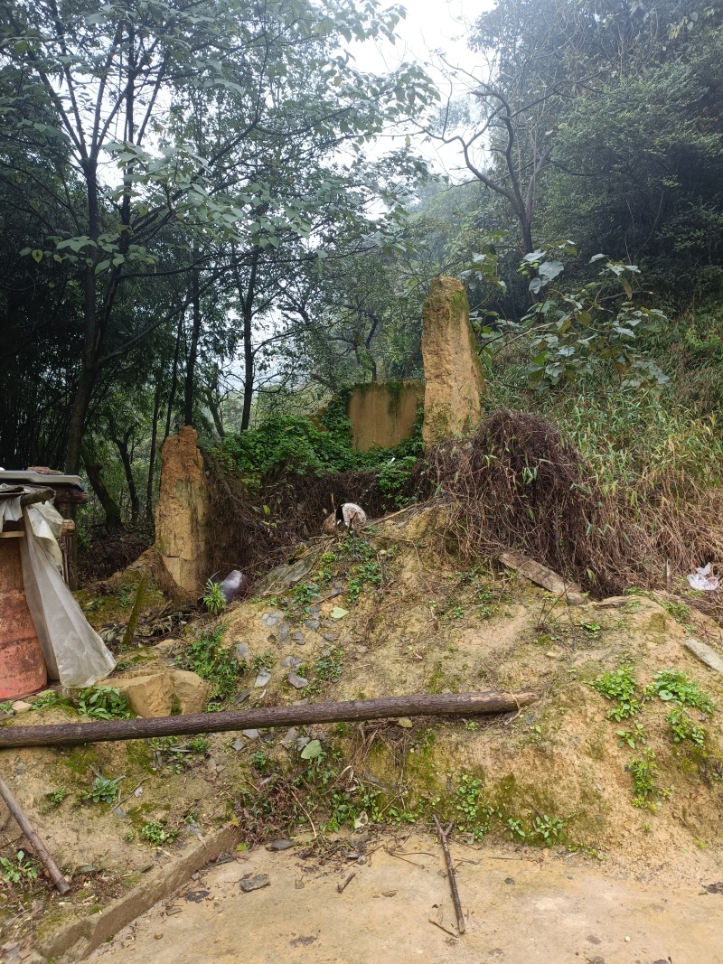 江北五宝，一家6口指标150建筑面积，可以修3层，