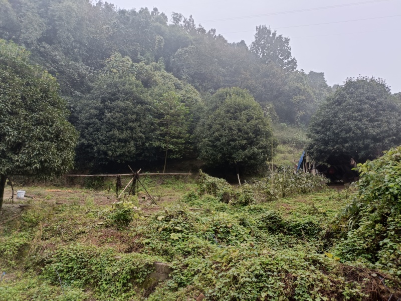 江北五宝，一家6口指标150建筑面积，可以修3层，