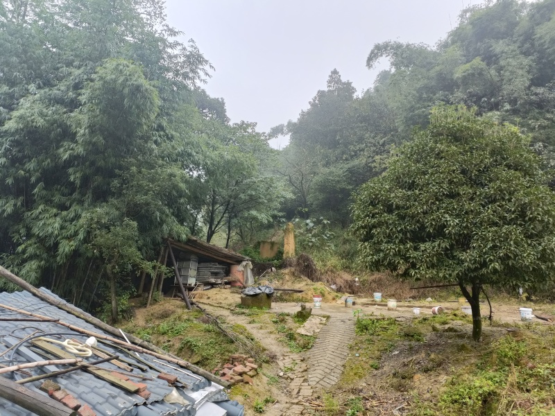 江北五宝，一家6口指标150建筑面积，可以修3层，