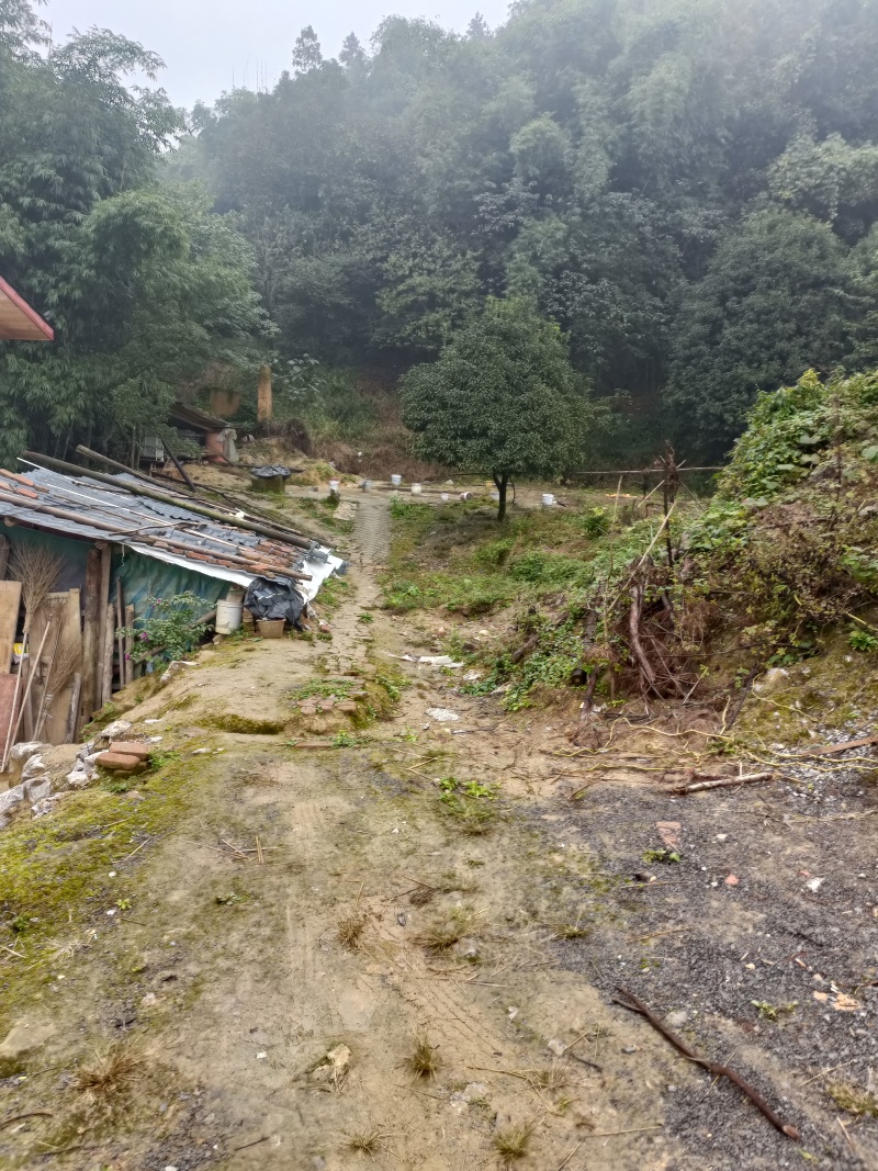 江北五宝，一家6口指标150建筑面积，可以修3层，