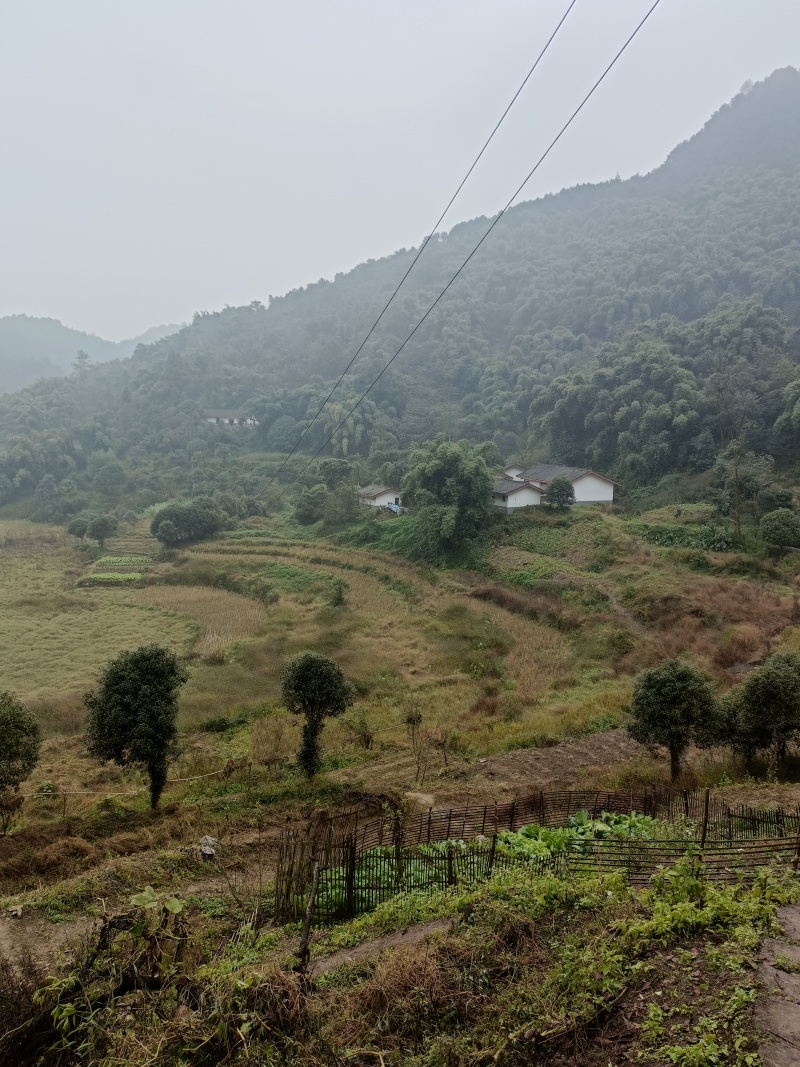 江北五宝，一家6口指标150建筑面积，可以修3层，