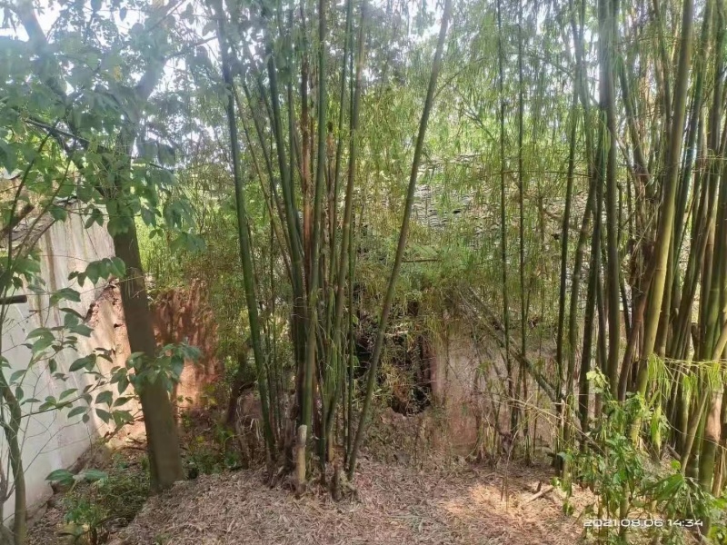 江津区走马镇160平宅基地0租金流转20年，可重建可改造