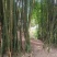 江津区走马镇160平宅基地0租金流转20年，可重建可改造