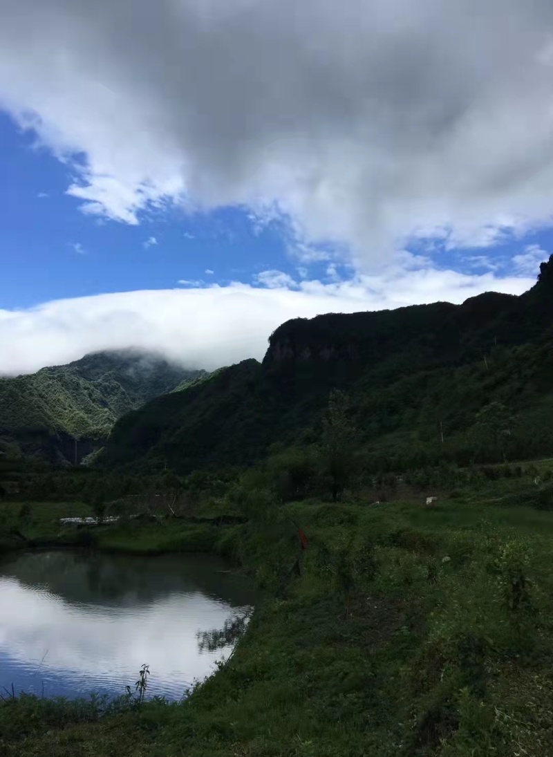 南川金佛山民宿出租转让合作，海拔1200米，