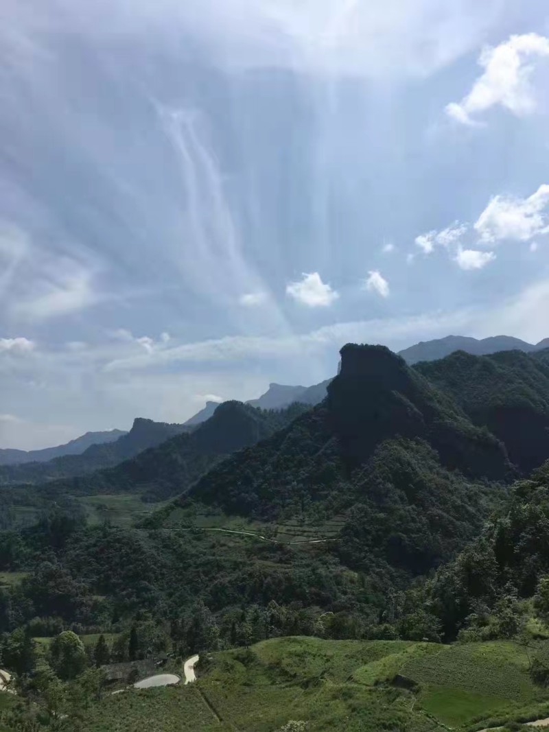 南川金佛山民宿出租转让合作，海拔1200米，