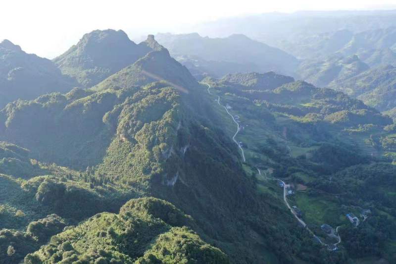 南川金佛山民宿出租转让合作，海拔1200米，