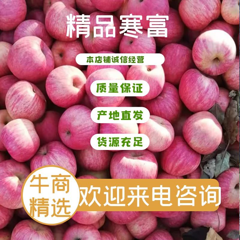 【实力】寒富苹果个大皮毛亮颜色全红口感脆甜大量供应