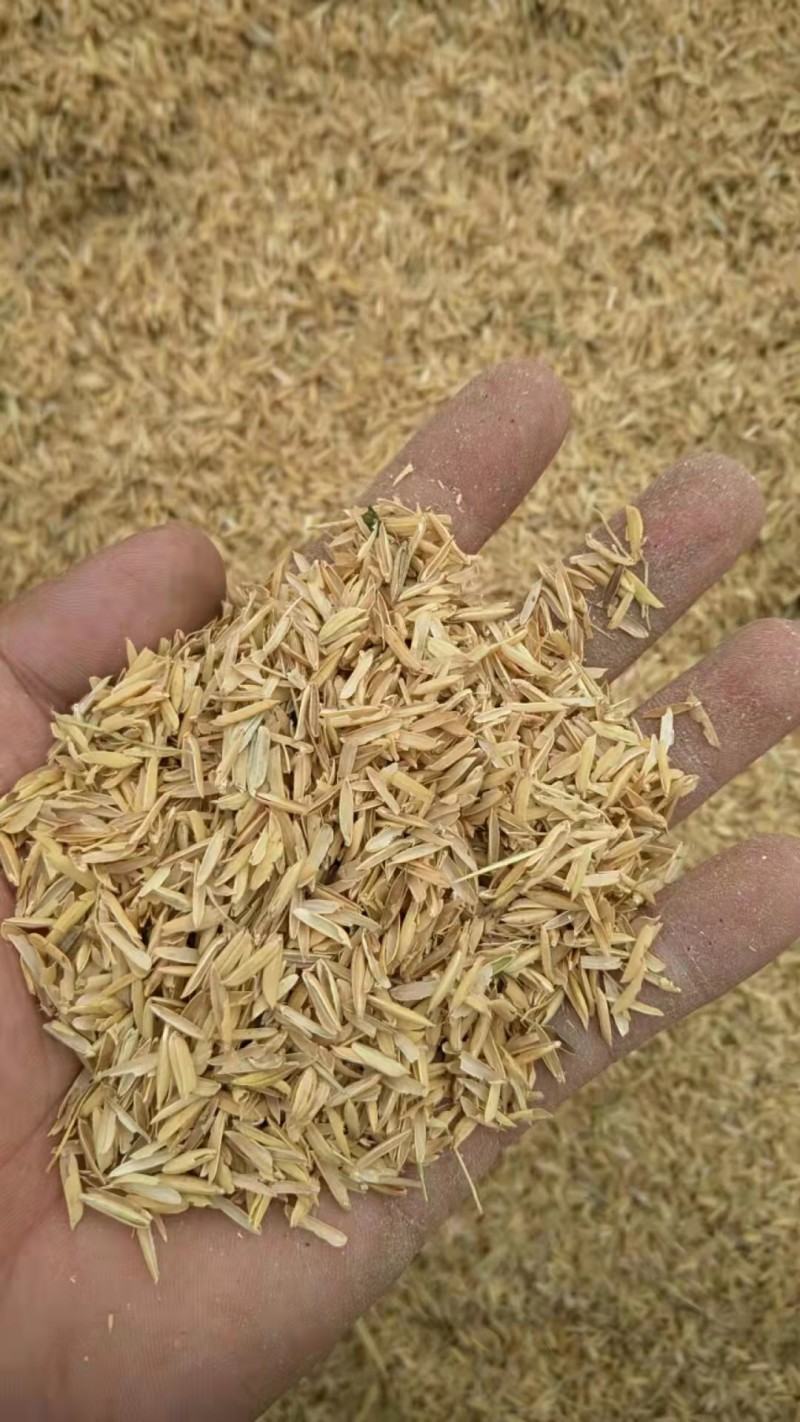 压缩稻壳，各种规格，价格美丽，货源充足，诚信经营