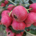 精品山楂全国包邮