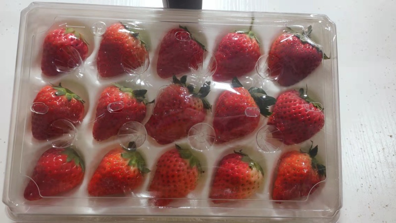 【精品】红颜草莓，烘焙果量大从优，基地直发，对接商超批发