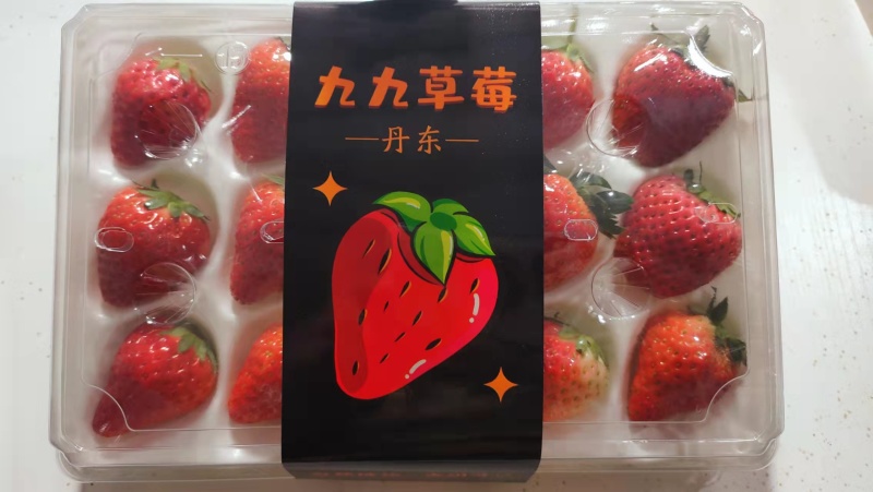 【精品】红颜草莓，烘焙果量大从优，基地直发，对接商超批发