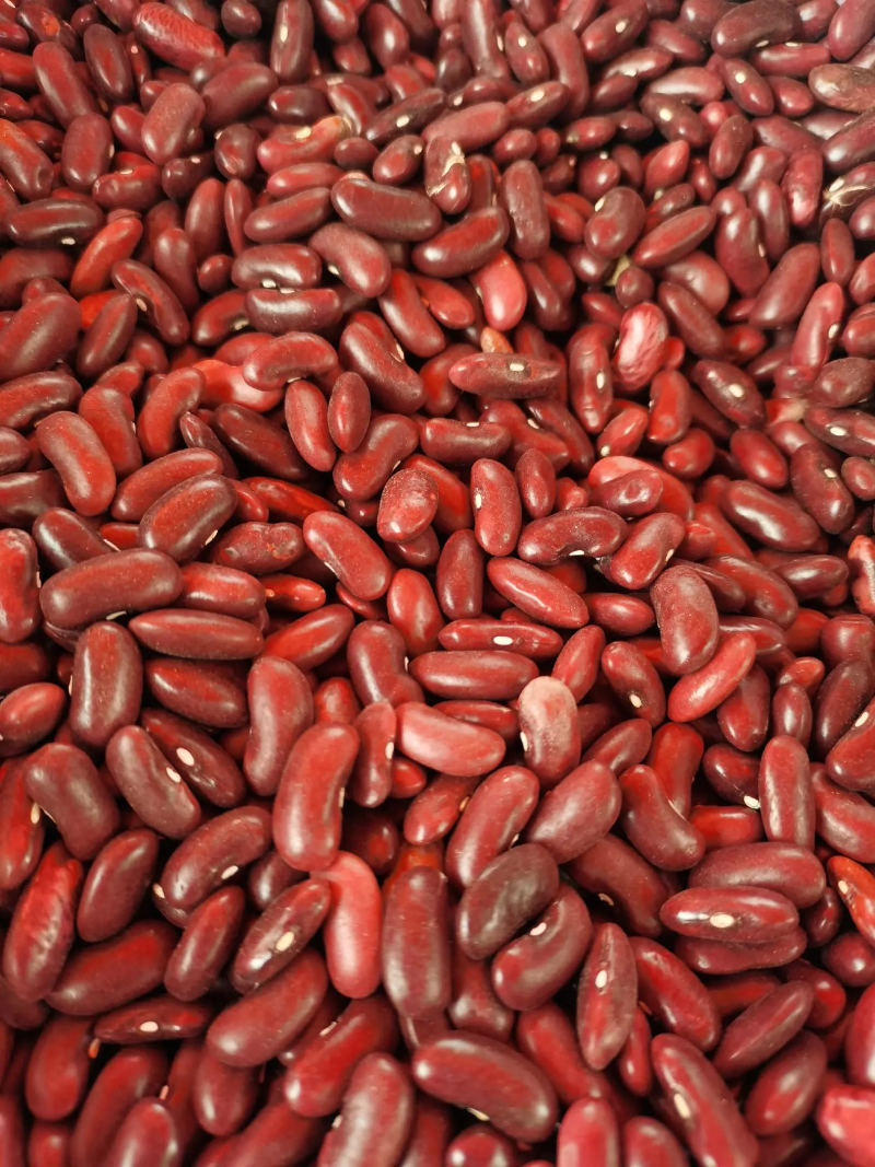 红豆江苏红豆自产自销，货量充足欢迎联系。价格随行就市