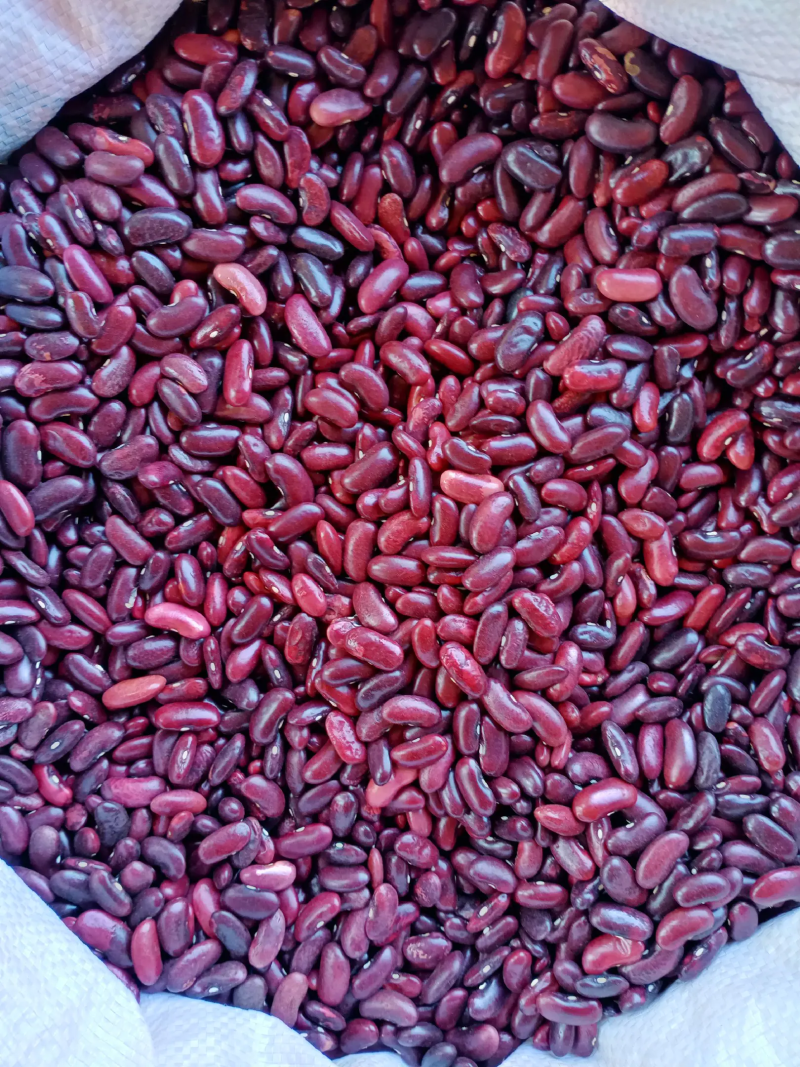 红豆江苏红豆自产自销，货量充足欢迎联系。价格随行就市