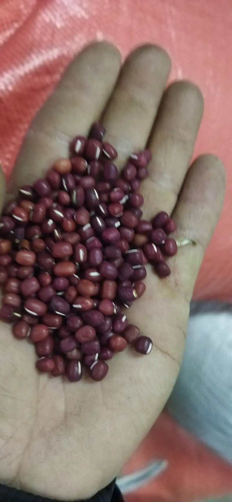 红豆江苏红豆自产自销，货量充足欢迎联系。价格随行就市