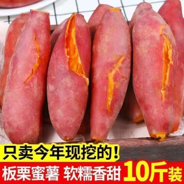 红心蜜薯新鲜红薯西瓜红农家自种非烟薯25苕沙地番薯烤地瓜