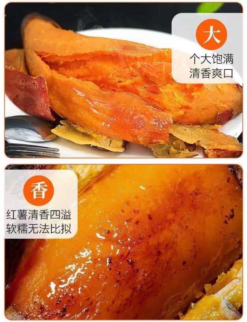 红心蜜薯新鲜红薯西瓜红农家自种非烟薯25苕沙地番薯烤地瓜