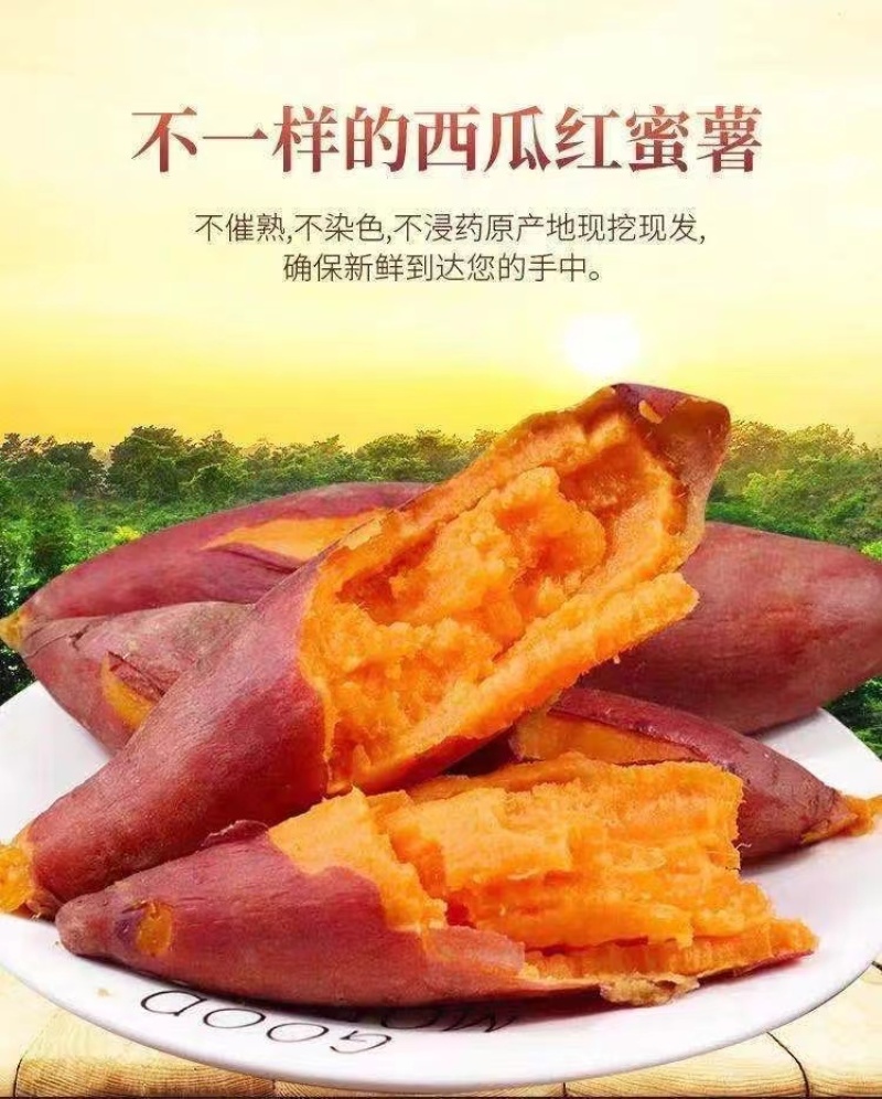 红心蜜薯新鲜红薯西瓜红农家自种非烟薯25苕沙地番薯烤地瓜